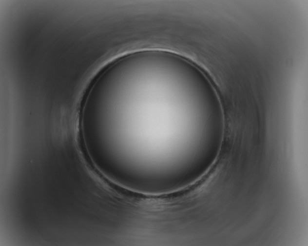 X0000089441511200706291416