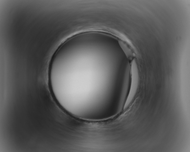 X0000089441512200706291416