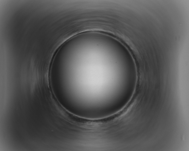 X0000089441513200706291416