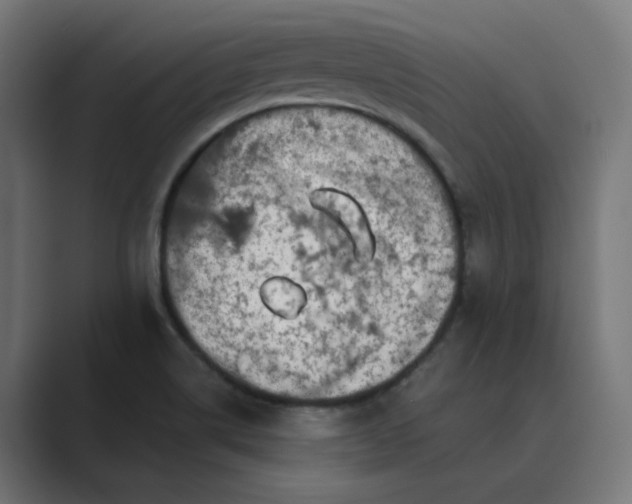 X0000089441514200706291416