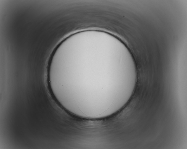 X0000089441518200706291416