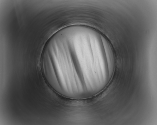 X0000089441521200706291416