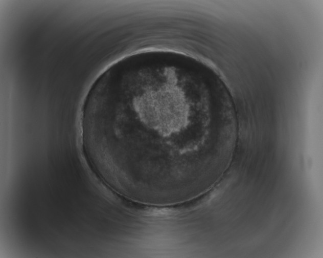 X0000089441522200706291416