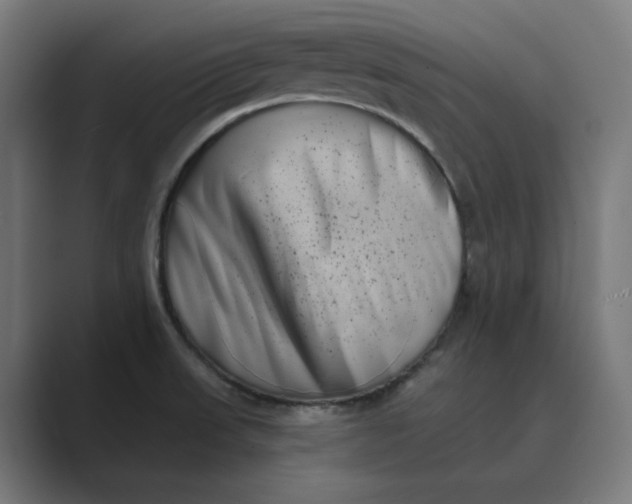 X0000089441523200706291416