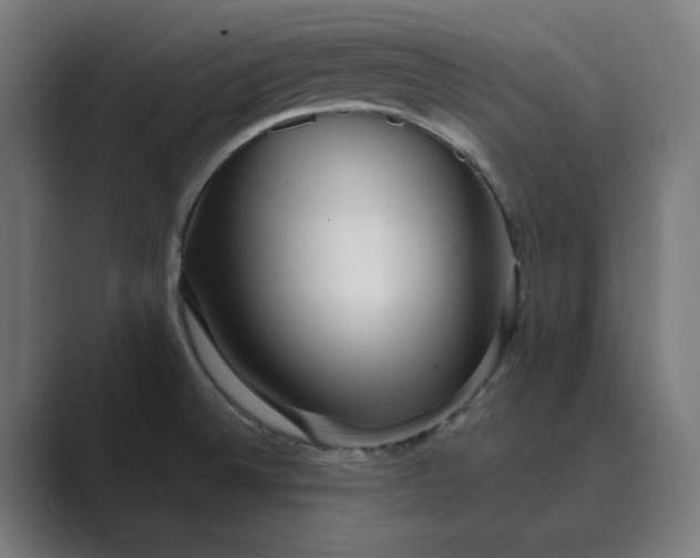 X0000089441524200706291416