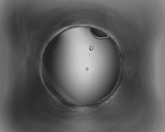 X0000089441525200706291416