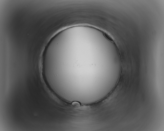 X0000089441526200706291416