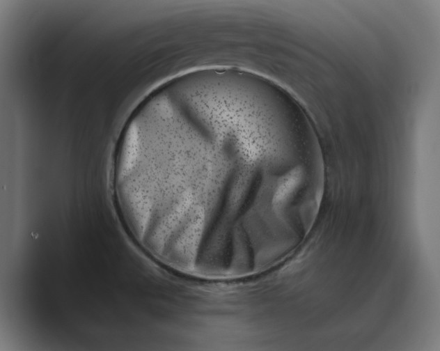 X0000089441527200706291416