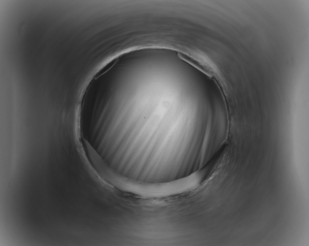 X0000089441528200706291416
