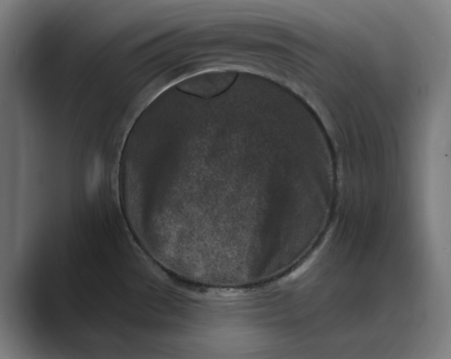 X0000089441529200706291416