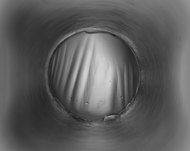 X0000089441530200706291416