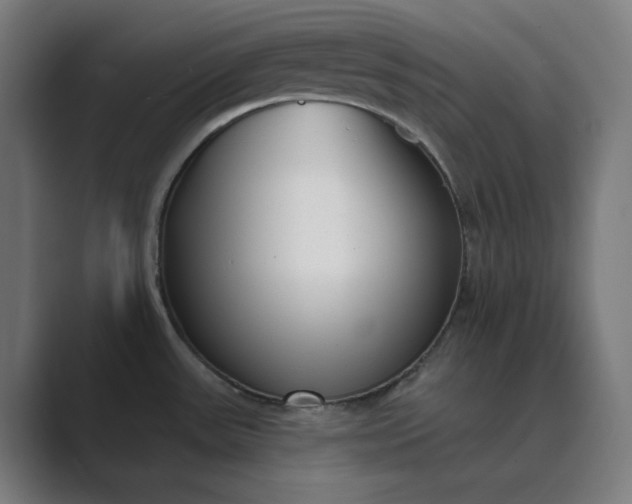 X0000089441531200706291416