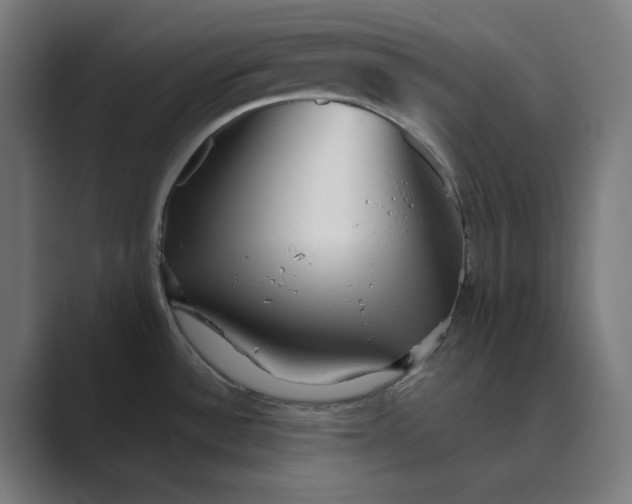X0000089441532200706291416