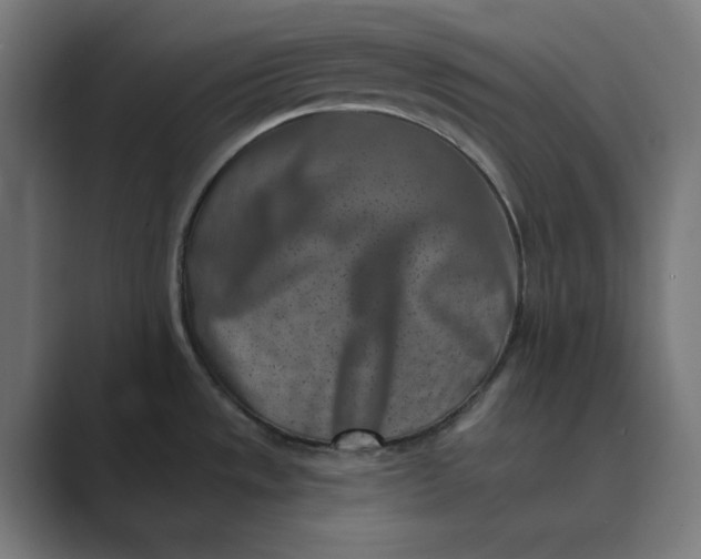 X0000089441533200706291416