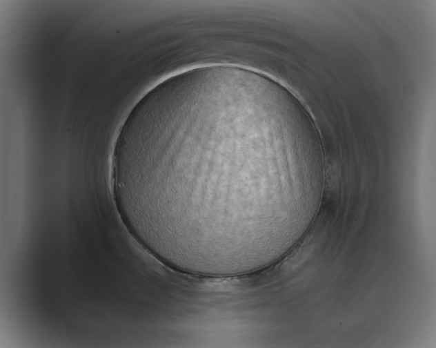 X0000089441535200706291416