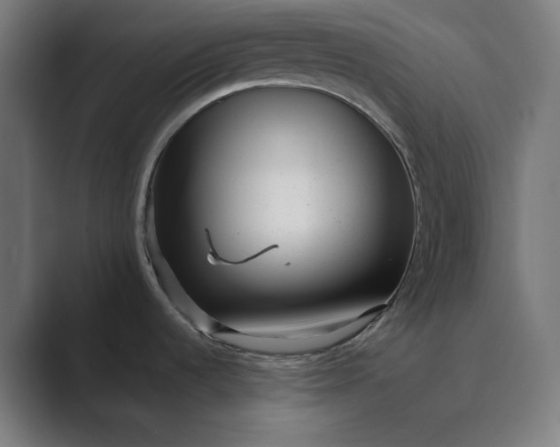 X0000089441536200706291416