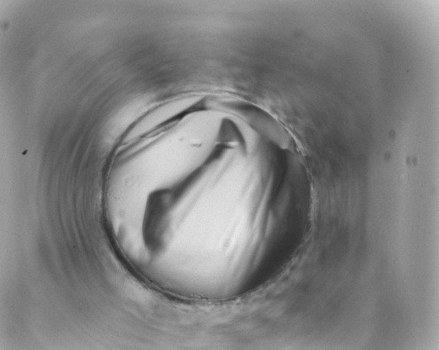 X0000089440005200707061420