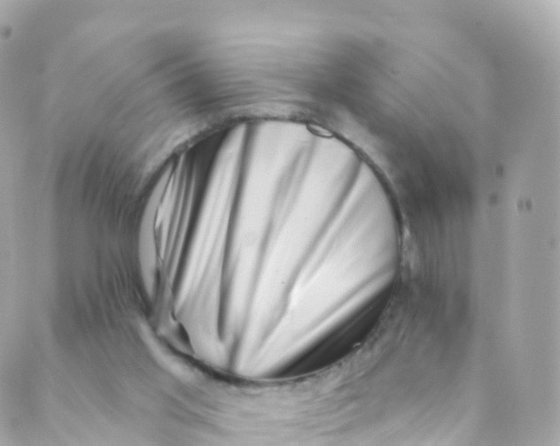 X0000089440013200707061420