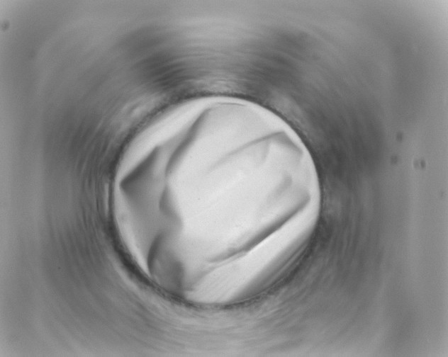 X0000089440014200707061420