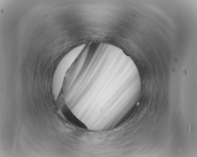 X0000089440033200707061419