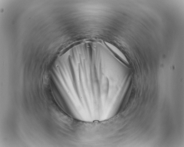X0000089440037200707061419