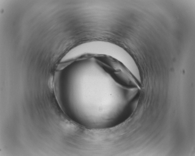 X0000089440041200707061419