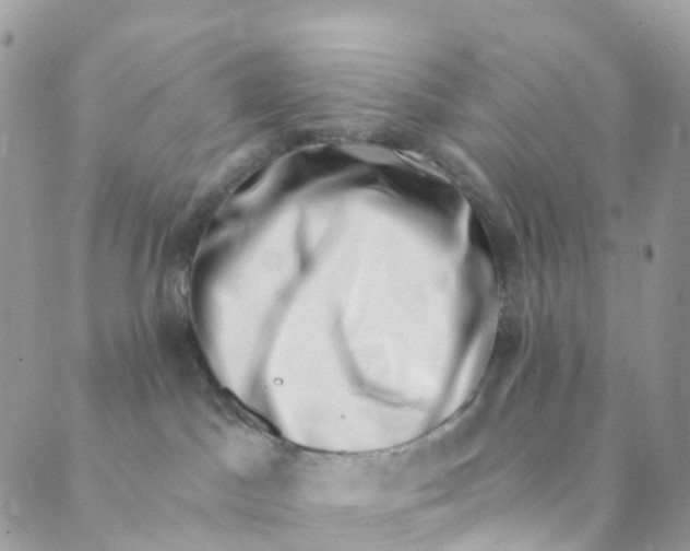 X0000089440045200707061419