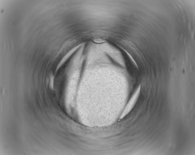 X0000089440046200707061419