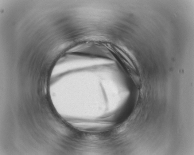 X0000089440062200707061418
