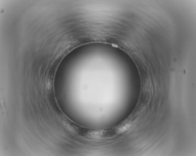 X0000089440084200707061419
