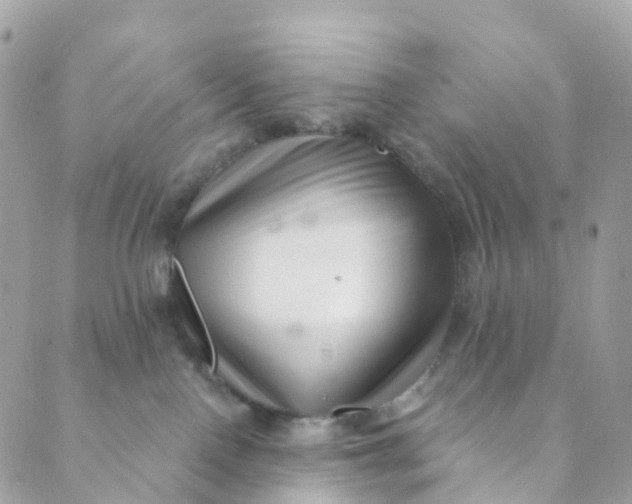 X0000089440090200707061419