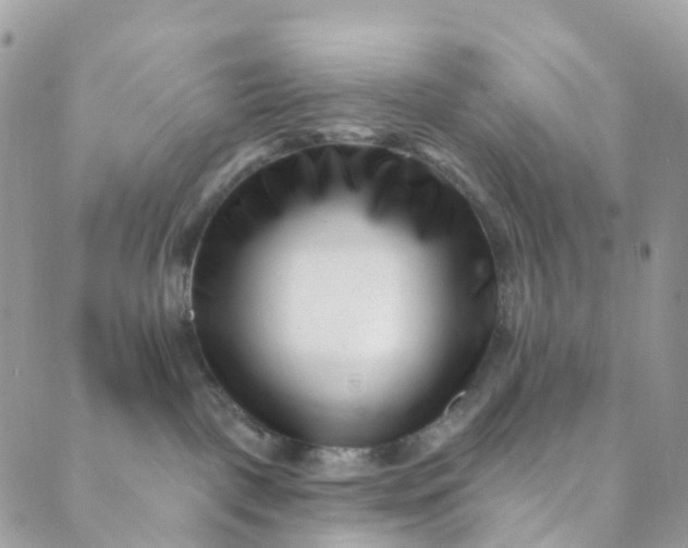 X0000089440093200707061419