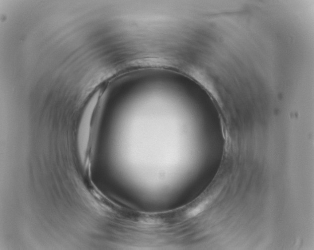 X0000089440109200707061418