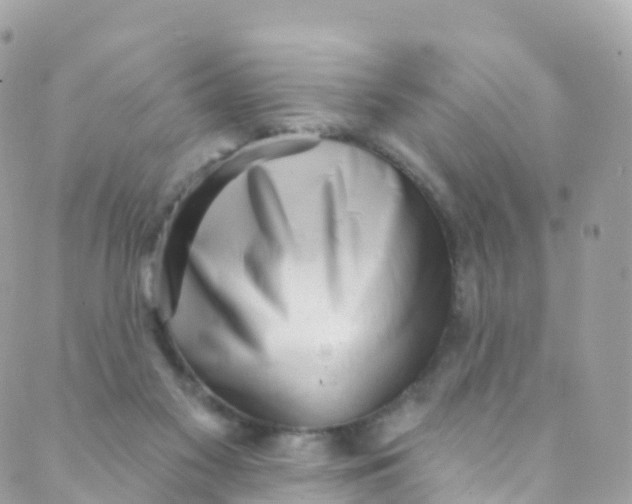 X0000089440117200707061418