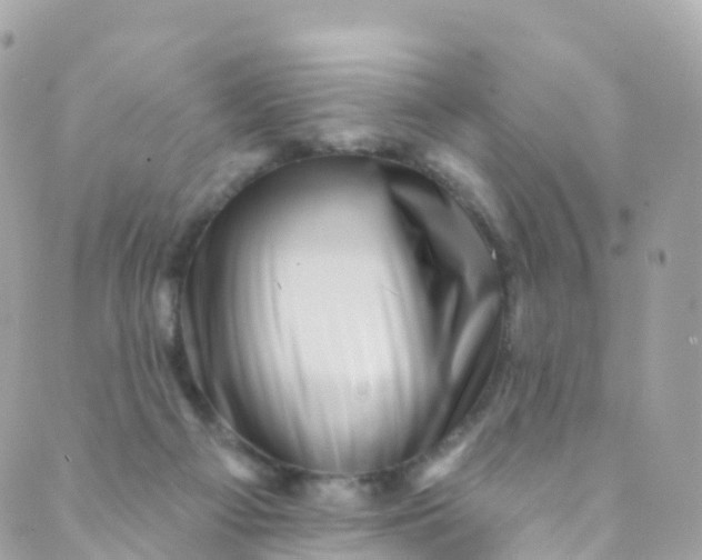 X0000089440121200707061418