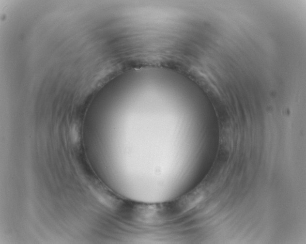 X0000089440131200707061418