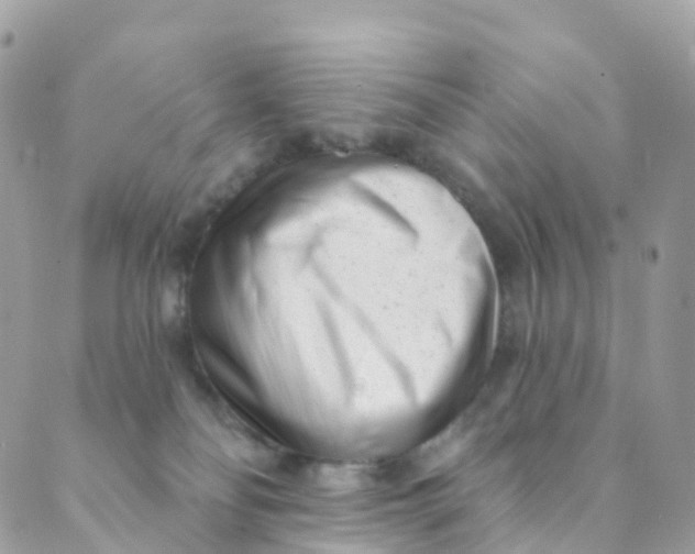 X0000089440134200707061418