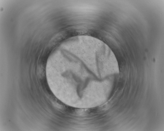 X0000089440136200707061418