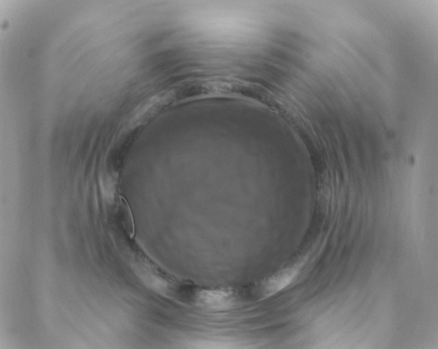 X0000089440139200707061418