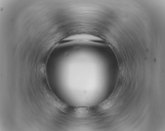 X0000089440141200707061418