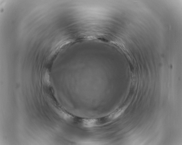 X0000089440143200707061418