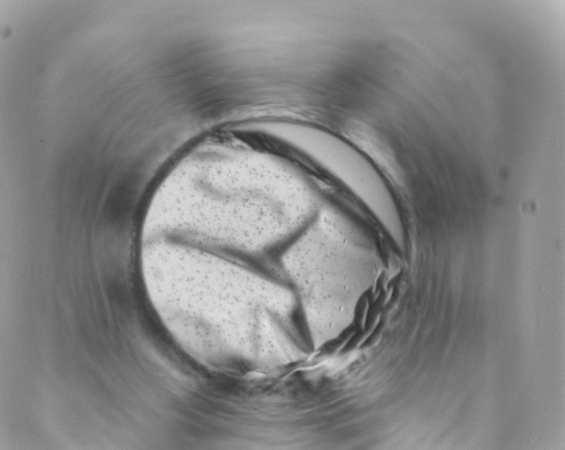 X0000089440156200707061417