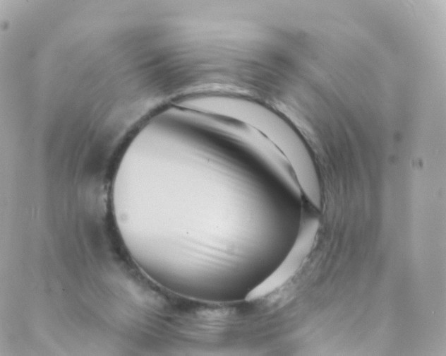 X0000089440160200707061417