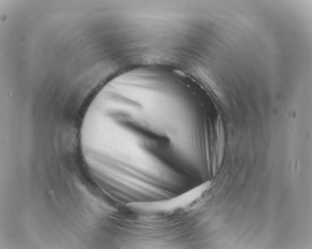 X0000089440164200707061417