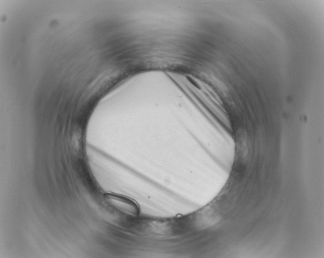 X0000089440166200707061417