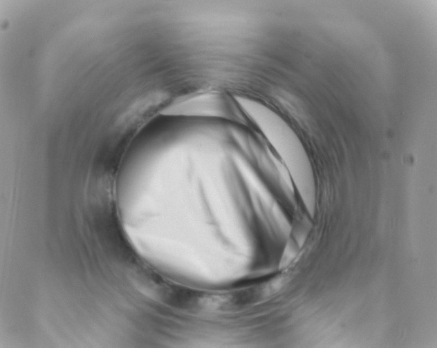 X0000089440172200707061417