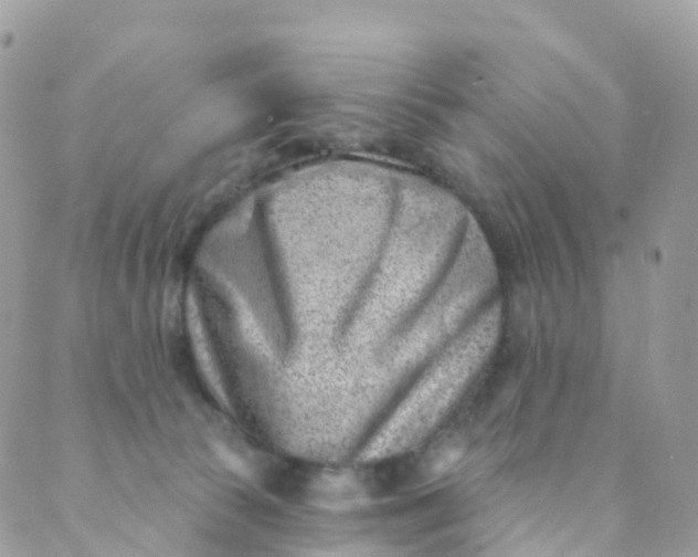 X0000089440177200707061417