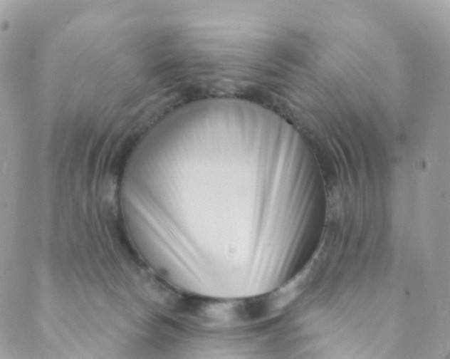 X0000089440178200707061417