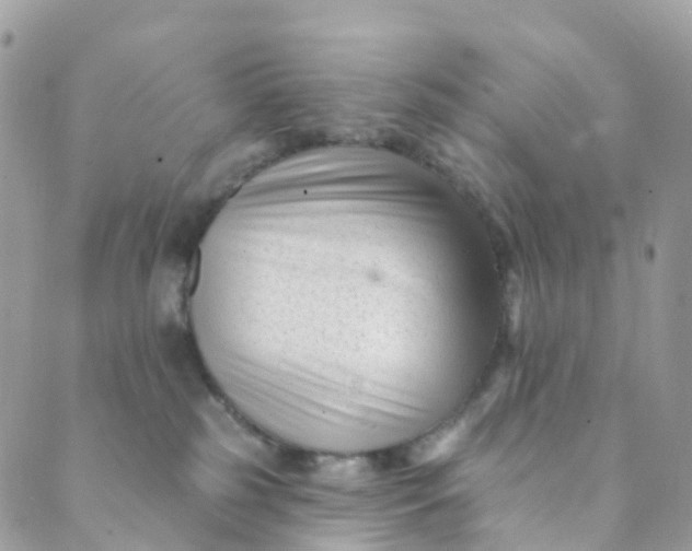 X0000089440185200707061417