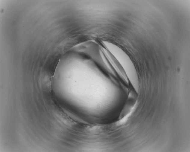 X0000089440186200707061417